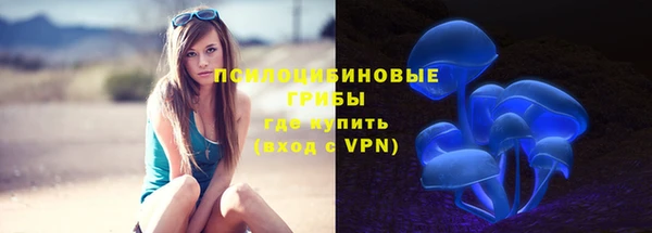 марки nbome Богородицк